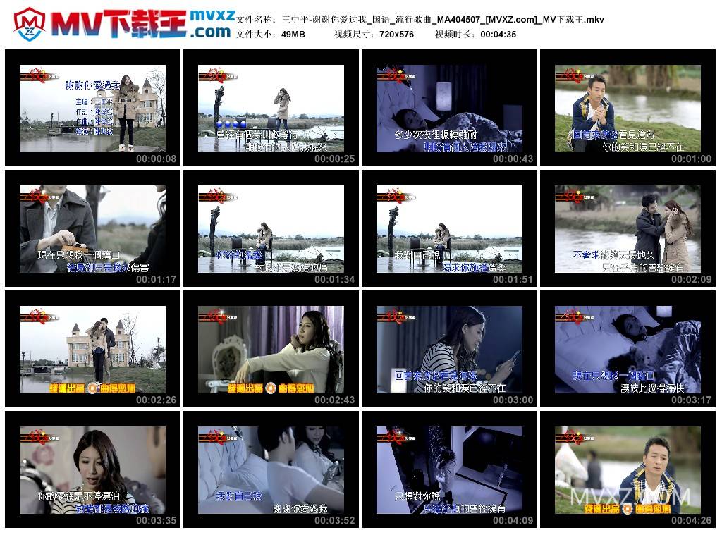 王中平-谢谢你爱过我_国语_流行歌曲_MA404507